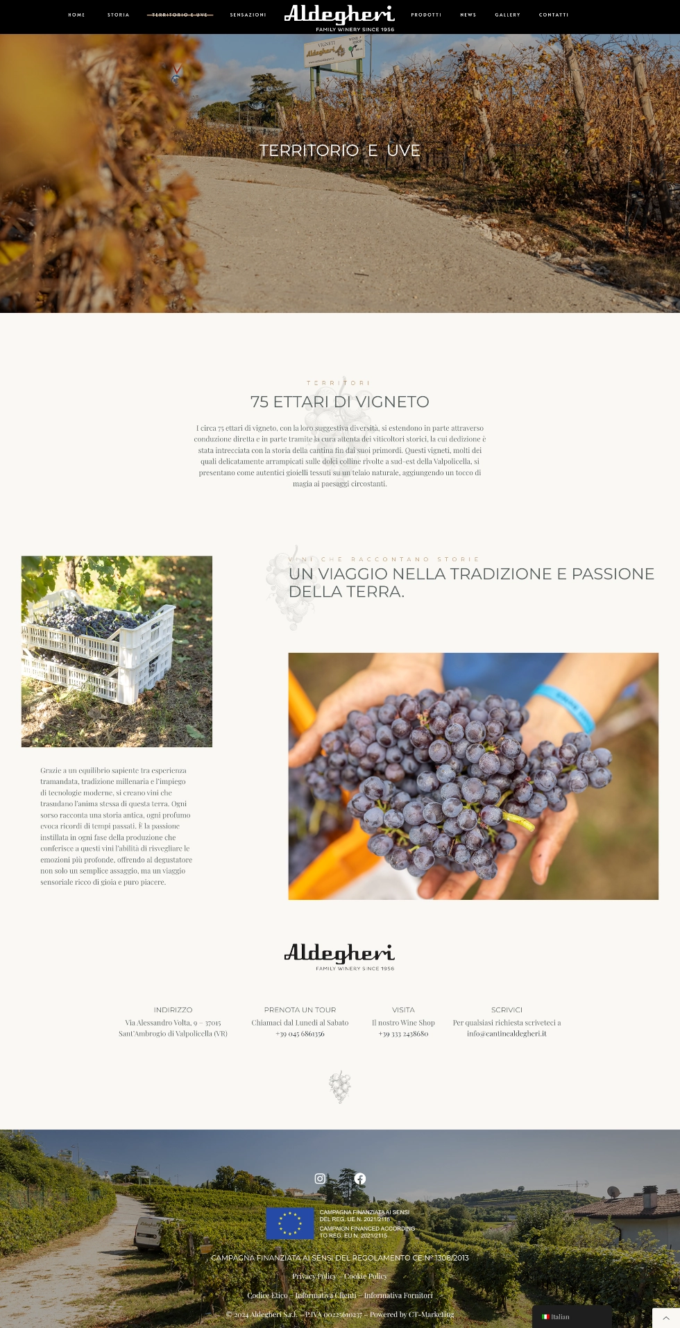 Esperienza utente e navigazione intuitiva — Cantine Aldegheri, sito realizzato da Simone Serra