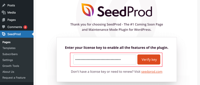 Inserisci la tua chiave di licenza SeedProd
