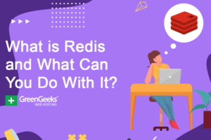 Che cos’è Redis e cosa puoi fare con esso in WordPress?