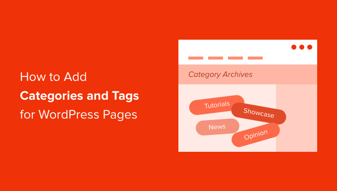 How to add categories and tags for WordPress pages